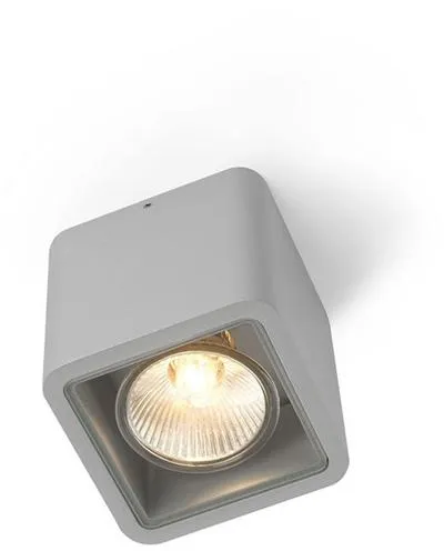 Trizo 21 Code 1 Outdoor Light Anodised